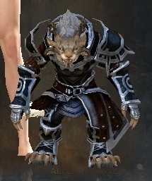 gw954.jpg