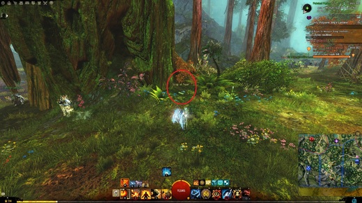 Umbral_Grotto.jpg
